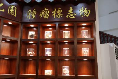 肾癌中医饮食建议